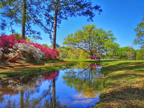 Callaway Gardens | CityDays