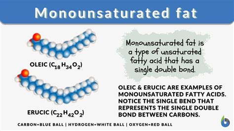 Monounsaturated fat - Definition and Examples - Biology Online Dictionary