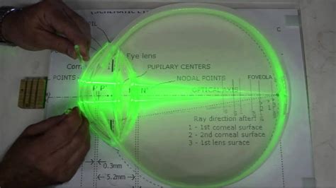 Science on Stage: The optical system of the human eye - YouTube