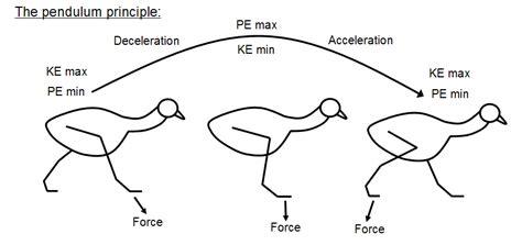 Locomotion