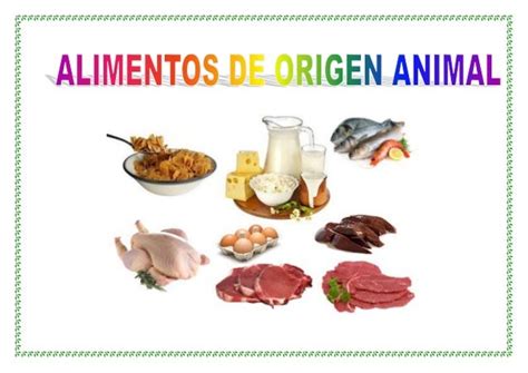 ALIMENTOS DE ORIGEN ANIMAL. LEGUMBRES Y CEREALES