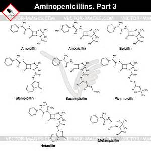 Chemical structures of aminopenicillins - vector image