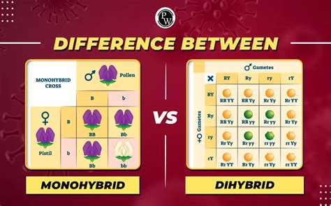 Monohybrid Cross Definition