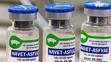 Vietnam develops new African swine fever vaccine: Official - Bangladesh Post