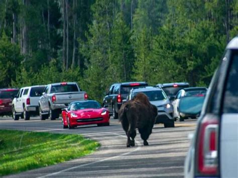 An RV Travel Guide For Visiting Yellowstone National Park