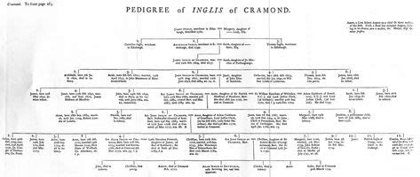 Robert The Bruce King Of Scotland Family Tree | Family tree, Royal family trees, Scotland