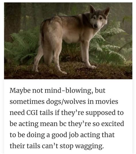 CGI dogs : r/Corridor