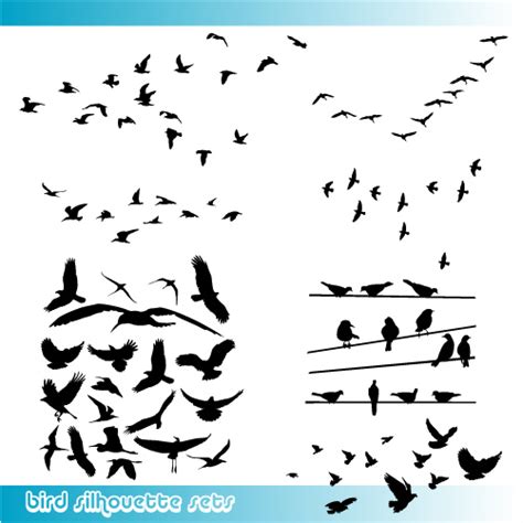 Glamorous Birds Silhouette Tattoo Vector Graphic - | TattooMagz › Tattoo Designs / Ink Works ...