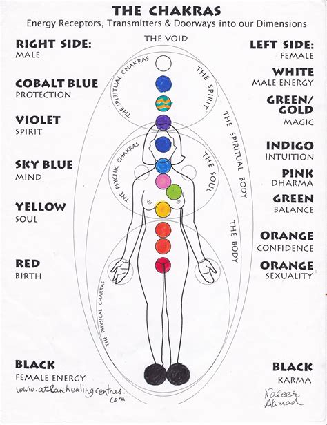 Chakra Diagram Body