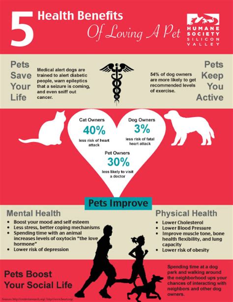 The Five Health Benefits of Loving a Pet | Modern Dog magazine