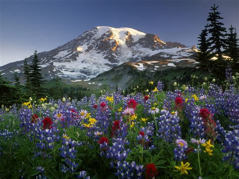 Choosing Photos: Nueva serie de paisajes naturales (10 imágenes)