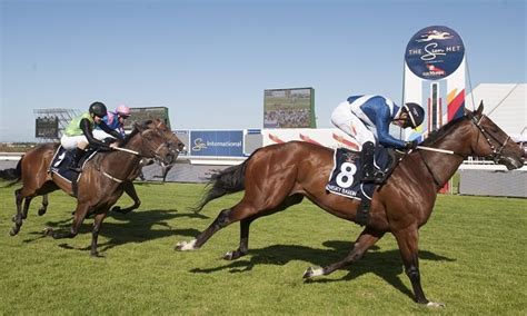 South African Horse Racing Tips for Saturday 25 January by Timeform