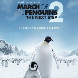 March of the Penguins 2: The Next Step (2018) Pictures, Trailer ...