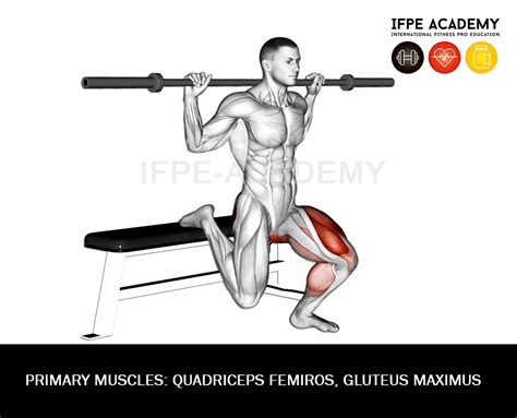 Bulgarian Squat (Barbell) - IFPE Academy
