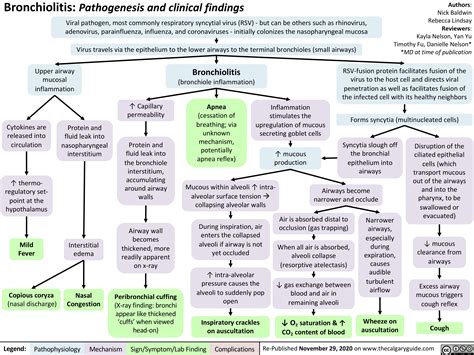 Bronchiolitis | Calgary Guide