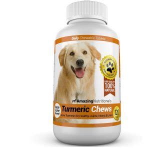 5 Best Pain Relievers For Dogs | Pets Life