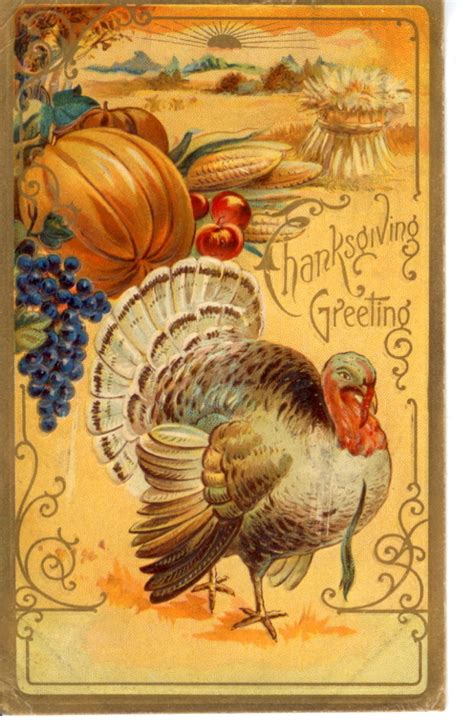 Vintage Thanksgiving Postcards | Thanksgiving pictures, Thanksgiving ...