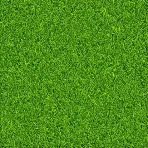 Premium Vector | Green grass background vector