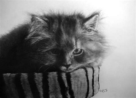 Amazing Pencil Drawings By Paul Lung - Freeware Guru ! - Free Utility Software Downloads