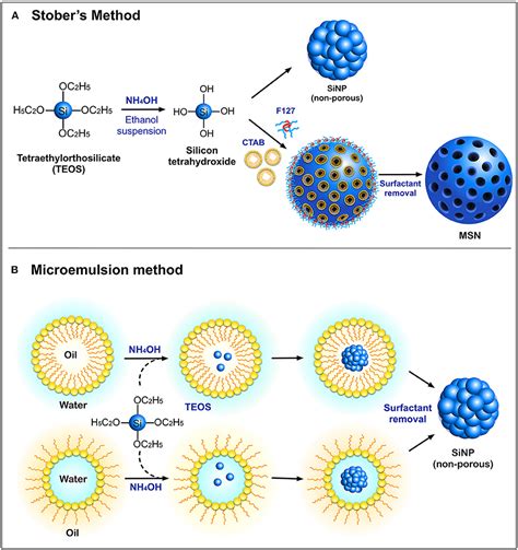 Frontiers | Silica Nanoparticles—A Versatile Tool for the Treatment of ...