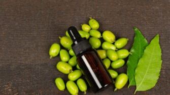 How to Use Neem Oil on Houseplants