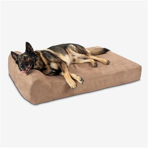 8 Best Large Dog Beds | The Strategist