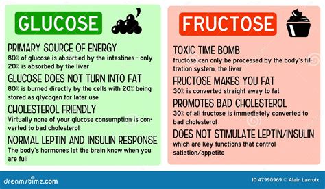 Glucose Fructose Royalty-Free Stock Photography | CartoonDealer.com ...