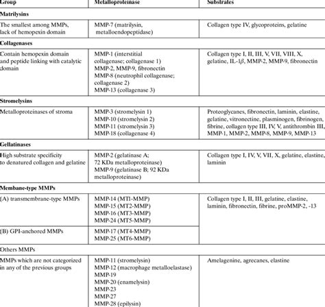 Classification and functions of matrix metalloproteinases (MMPs) | Download Table