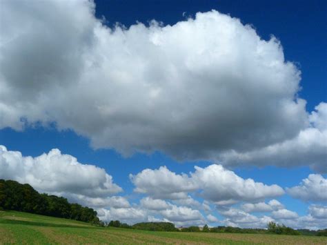 Cumulus Mediocris