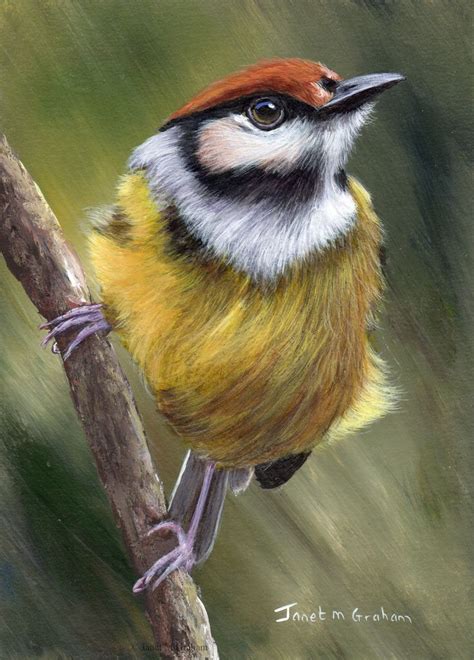 a painting of a bird perched on a branch