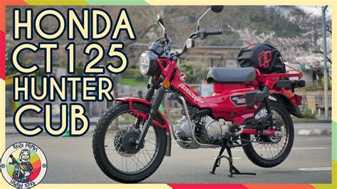 2022 Honda CT125 Hunter Cub Review | Tiny Trail Tamer - YouTube