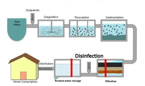 Steps of water purification process - Online Biology Notes