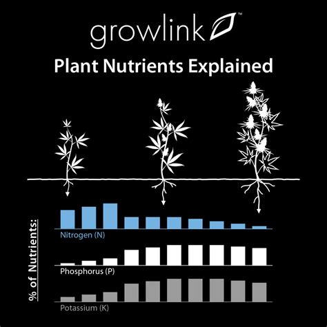 Cannabis Plant Nutrients Explained | Cannabis Fertilizer | Growlink