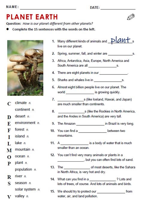 the animals save the planet worksheet