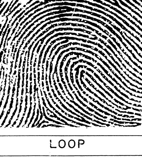 Fingerprints - Forensic Science Investigation Unit