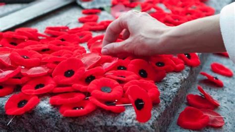 8 ways to pin your Remembrance Day poppy - Ottawa - CBC News