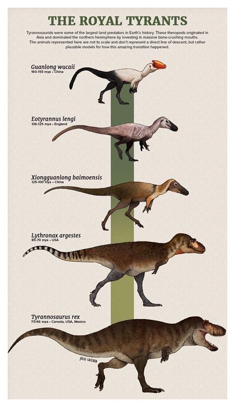 Do we have examples of dinosaur ancestors? : r/Dinosaurs