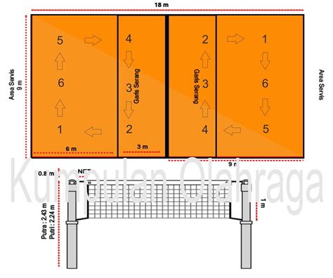 Posisi Pemain Bola Voli