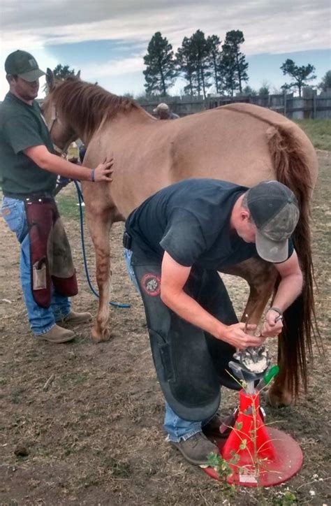 Farrier Training, Farrier Classes, Farrier Career, Butler Professional Farrier School | Butler ...