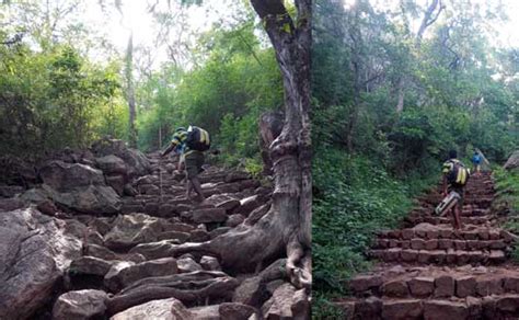 Velliangiri Mountains, Coimbatore - e Coimbatore - Coimbatore Local ...