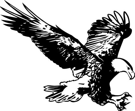 Download Eagle, Black And White, Birds. Royalty-Free Vector Graphic ...