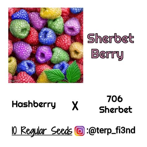 Sherbet Berry - terpfi3nd genetics