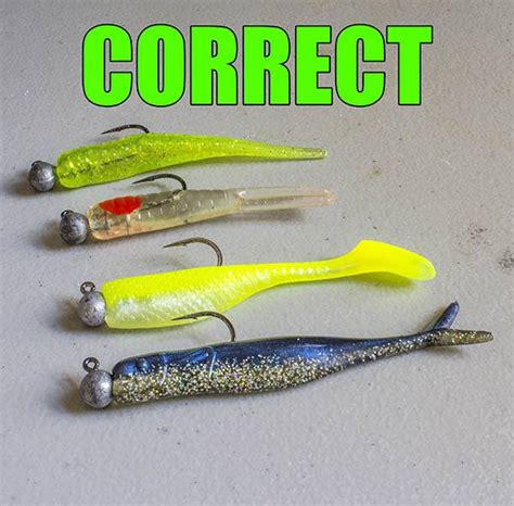 correct way to rig a jighead | Trout fishing tips, Crappie fishing, Fishing tips