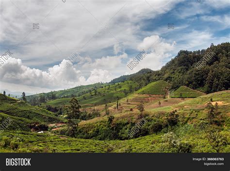 Hilly Landscape Image & Photo (Free Trial) | Bigstock