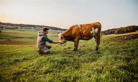 Top 107 + Role of animals in agriculture - Inoticia.net