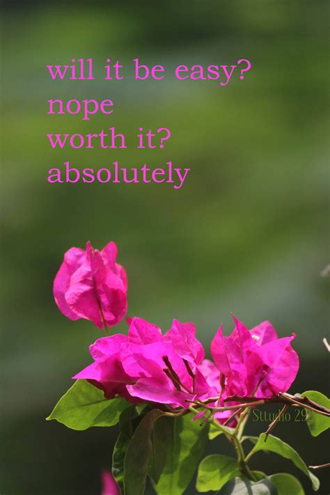 bougainvillea flowers, inspirational quotes for 2018, beautiful flowers, beautiful flowers with ...