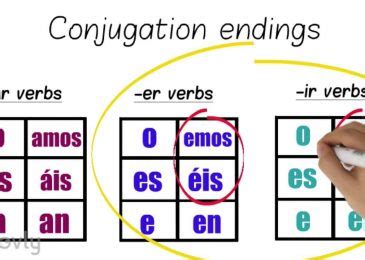 french verb dormir conjugation » High Education Learning