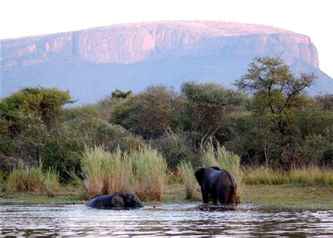 Visit The Waterberg on a trip to South Africa | Audley Travel