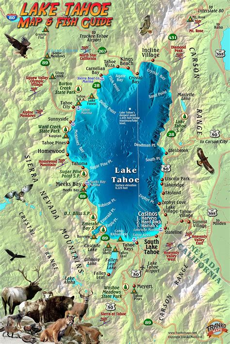 Map Of Lake Tahoe - Map Of The World