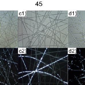 Microscopy photographs of characteristic samples when varying the flow... | Download Scientific ...